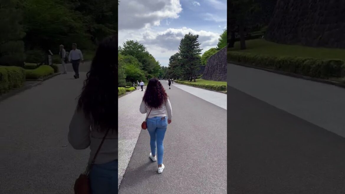 Journeying in Japan | Tokyo: Part 2