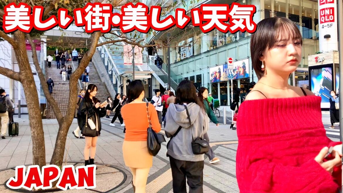 [4K] 新宿東京：Shinjuku City, Scenic Walking Tour || Japan 2024 ||