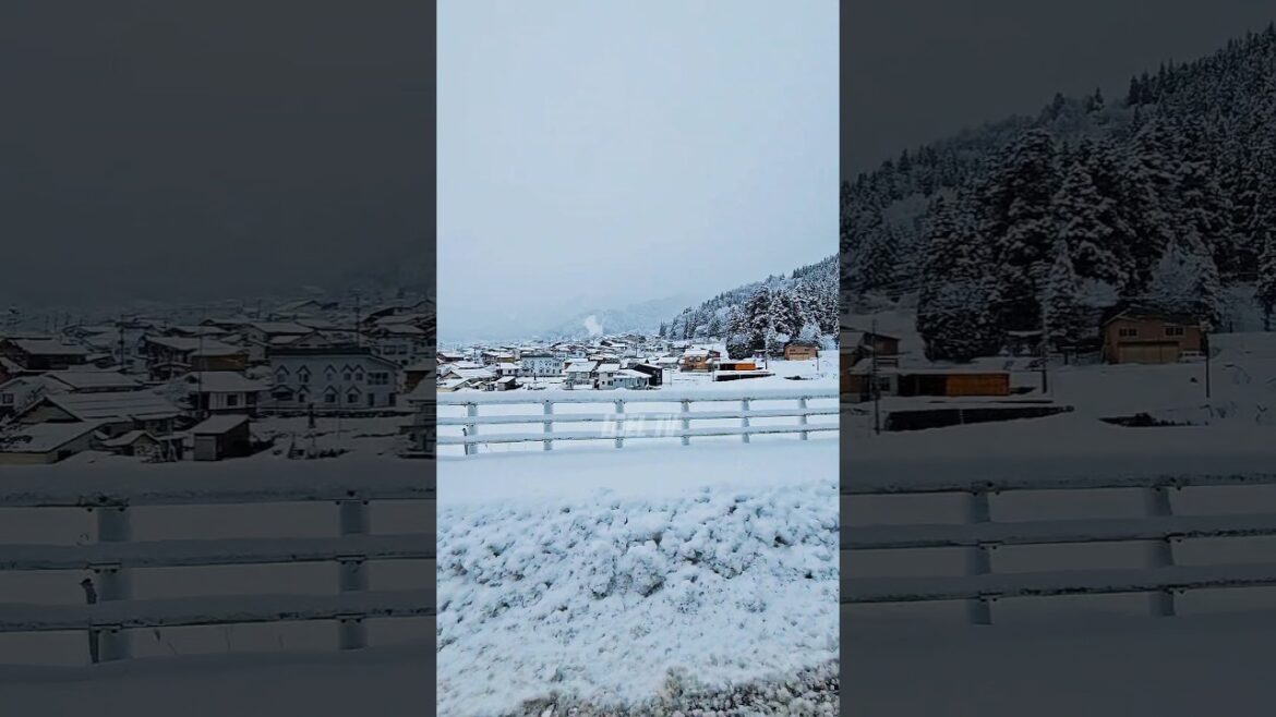 🌨❄️POV:WhiteXmasin🌨🛖🛖 #winter #snow #shorts #short #shortvideo #shortsvideo #shortsfeed 🌨