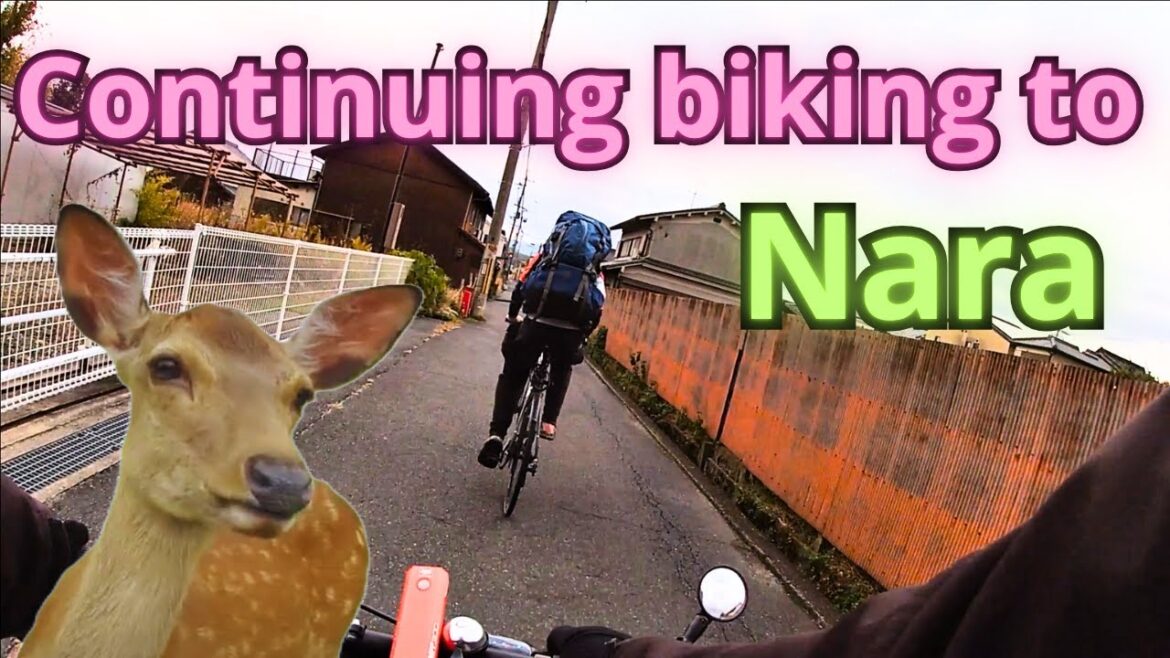 You won't believe how beautuful the houses are between Wakayama and Nara (TRIGGER WARNING)