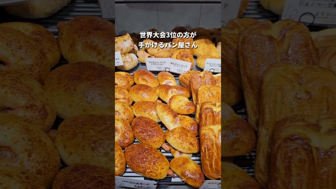 11月8日NEW OPEN/元小学校がオシャレすぎた! #shorts 11月8日NEW OPEN/元小学校がオシャレすぎた! #shorts