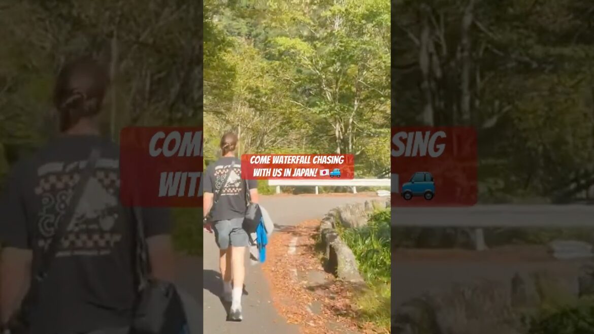 Check out our latest vlog for more insane Japan travels! 🚙🇯🇵🌞 #japan #wakayama #explorejapan
