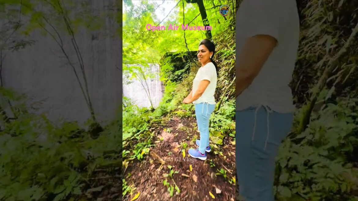 Open Air Mesuem Nagano #indogjvlogs #ytshorts #shortvideo #shorts #hindi