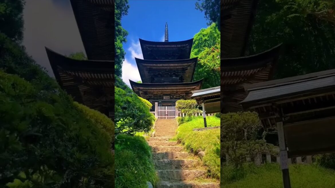 Ueda City (Nagano) / 上田市 上田市の美しい景色🤩🌳✨ #travel