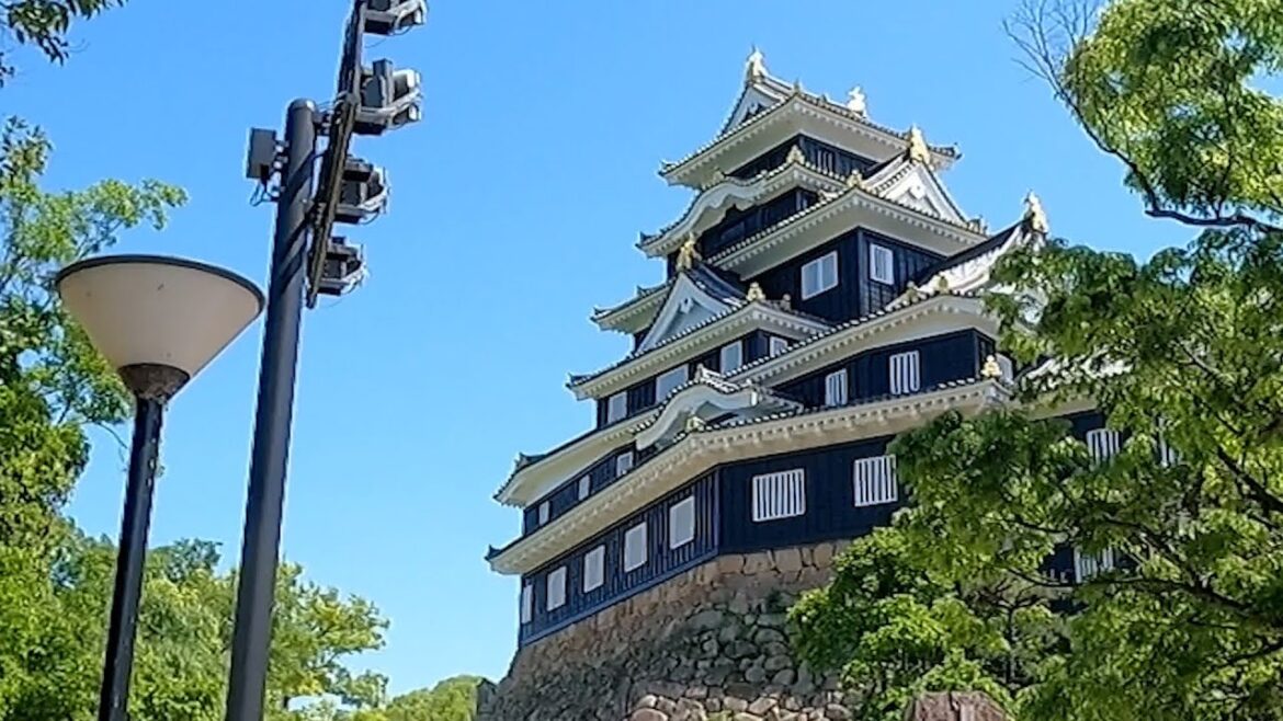Looking around the beautiful black castle in Japan