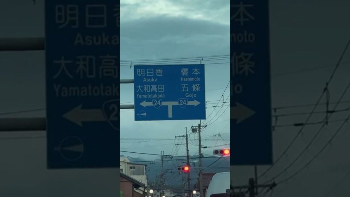 Have you been to Gojo before???😆 #japan #gojo #wakayama #nara #roadtrip