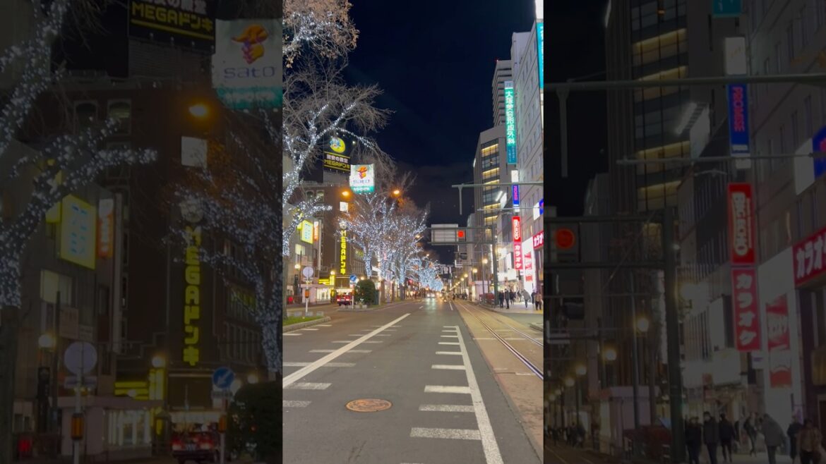 Holiday lights are up in Sapporo, Japan – November 21, 2024 #sapporojapan Holiday lights are up in Sapporo, Japan - November 21, 2024 #sapporojapan