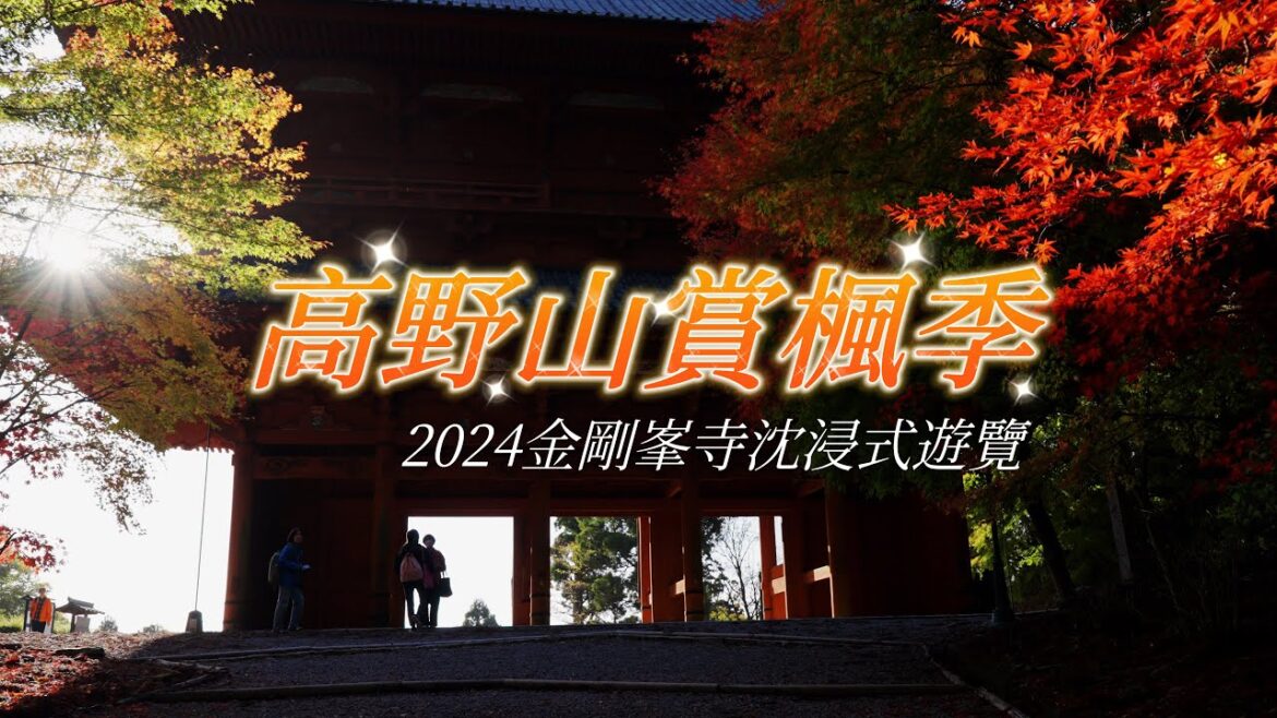 【2024絕美秋色！高野山紅葉季】秋季沈浸式遊覽高野山金剛峯寺｜關西和歌山賞楓勝地高野山｜和歌山縣賞楓地推薦
