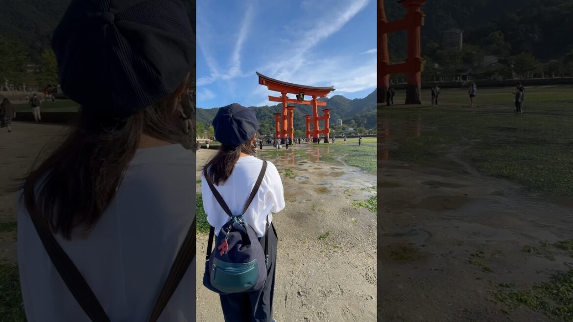 Goodbye Japan! All Good Things Come To An End! #shorts