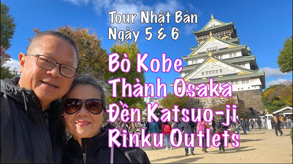 🚌 Tour Nhật Ngày 5 & 6 Bò Kobe, Thành Osaka, Đền Katsuo-ji, Rinku Outlets