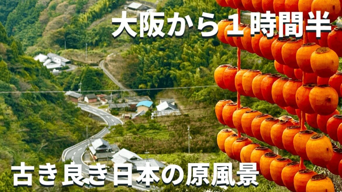 【神秘•絶景】大阪から1時間半「日本の隠れた絶景を求めて」知られざる荘厳神秘の滝と古き良き日本の秋の原風景 【神秘•絶景】大阪から1時間半「日本の隠れた絶景を求めて」知られざる荘厳神秘の滝と古き良き日本の秋の原風景