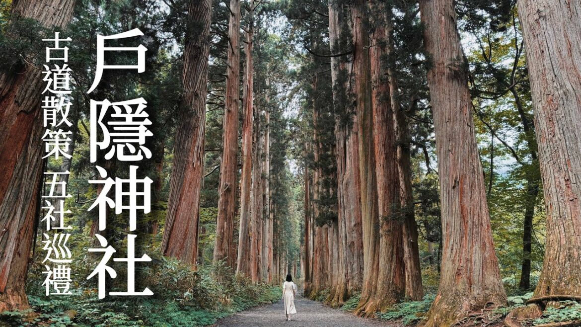 戶隱神社|漫步靈山古道🐾徒步完整五社巡禮|大人也難以逃脫的忍者屋敷|排隊戶隱蕎麥麵|長野、日本旅遊、Satori日本生活 戶隱神社|漫步靈山古道🐾徒步完整五社巡禮|大人也難以逃脫的忍者屋敷|排隊戶隱蕎麥麵|長野、日本旅遊、Satori日本生活