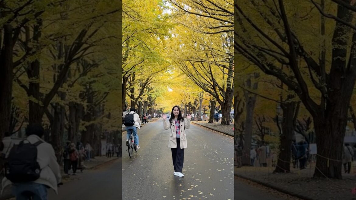 Caught the first snow in Sapporo! ❄️