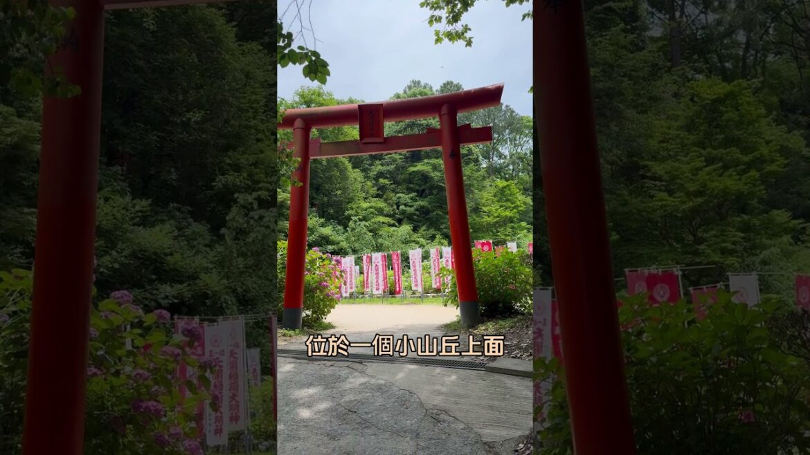 【下班ほ七逃】【2024福岡自由行】太宰府天滿宮 日本福岡觀光🔥天開稻荷神社❤️ #日本 #九州 #福岡 #太宰府天満宮 #japan #kyushu #fukuoka #觀光 #vlog #神社