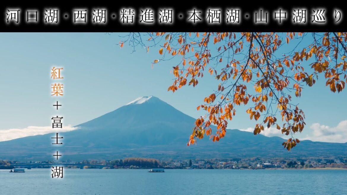 【山梨観光】富士山を望む紅葉の河口湖・西湖・精進湖・本栖湖・山中湖巡りVlog / Japan trip, visiting Mount Fuji Five Lakes in Yamanashi