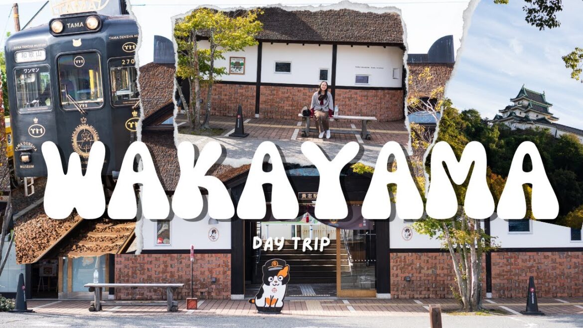 WAKAYAMA Day Trip | Kansai Region | 🇯🇵