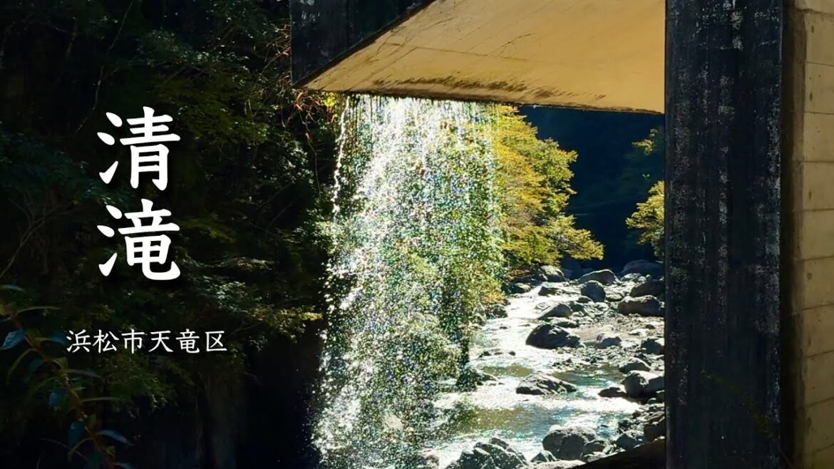 【浜松市の自然】明神峡〜豊岡堰堤〜山住神社のスギ｜天竜区春野町豊岡〜水窪町