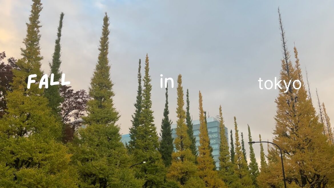 an autumn week in tokyo