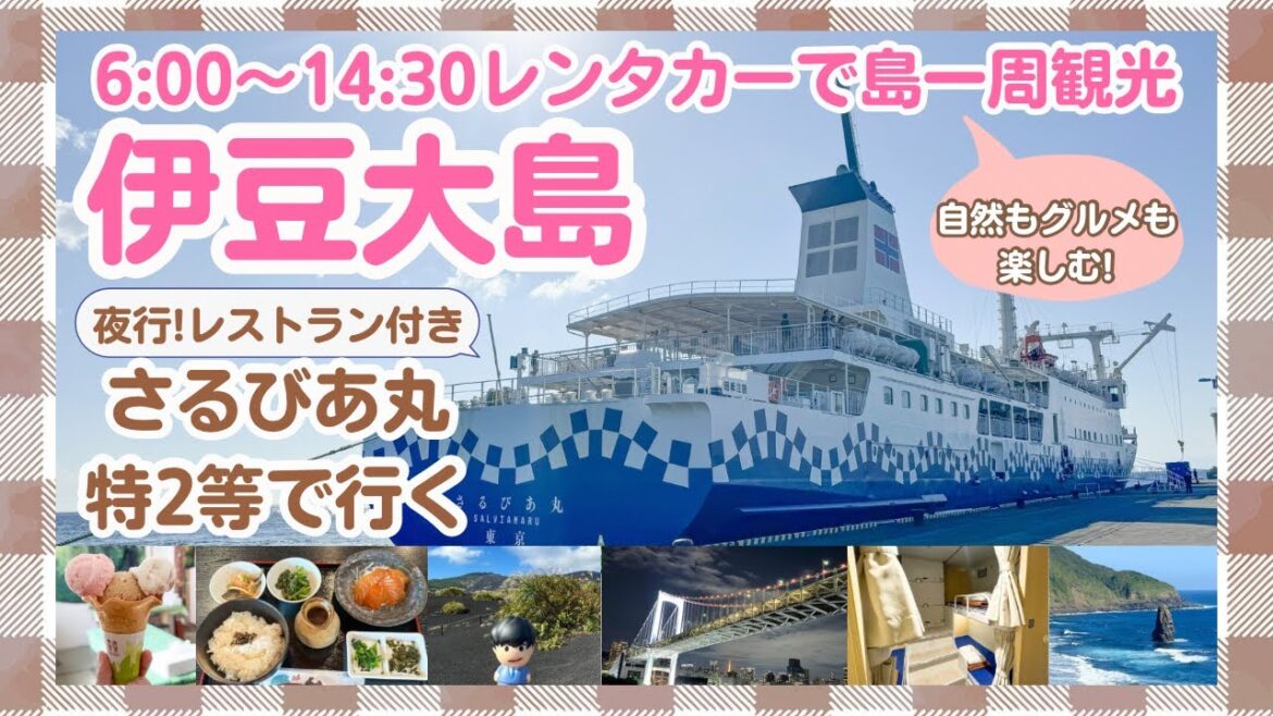 【伊豆大島】気軽に行ける東京の島🏝️1日で島一周できるモデルコース【さるびあ丸】 【伊豆大島】気軽に行ける東京の島🏝️1日で島一周できるモデルコース【さるびあ丸】