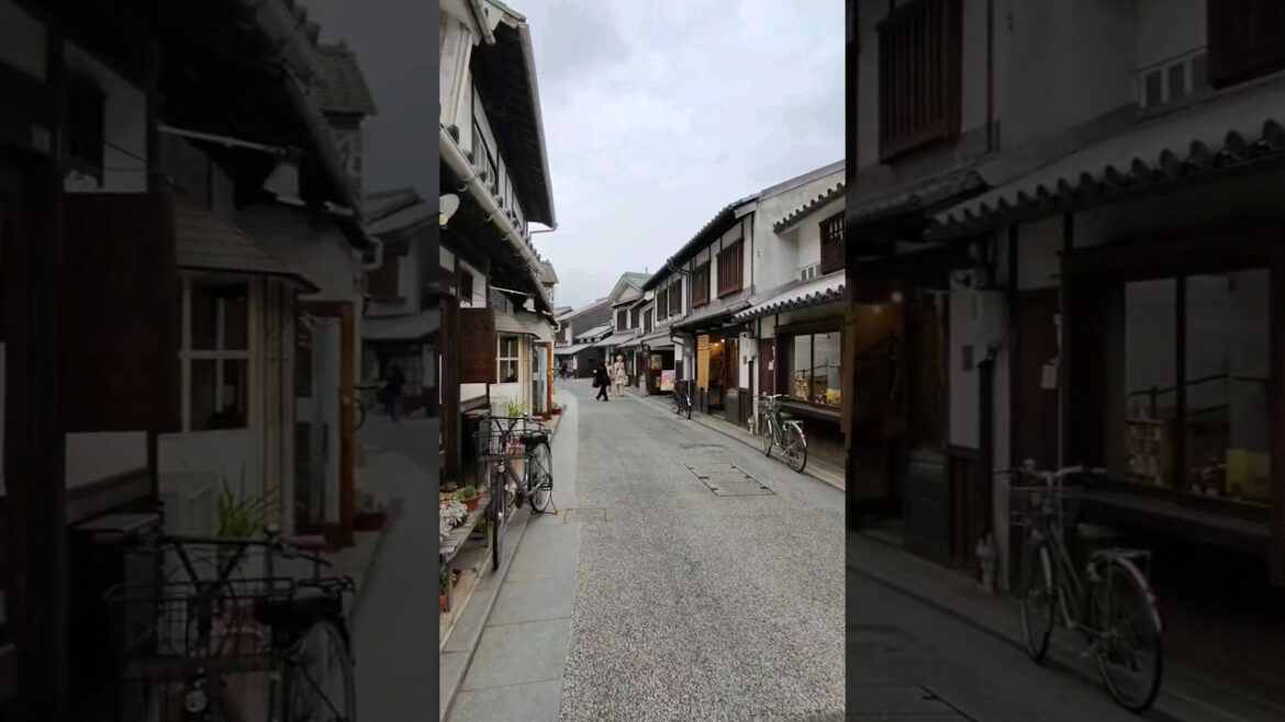 Traditional Japanese town 🎎🍡🍙#kurashiki #okayama #japan #walk #walking
