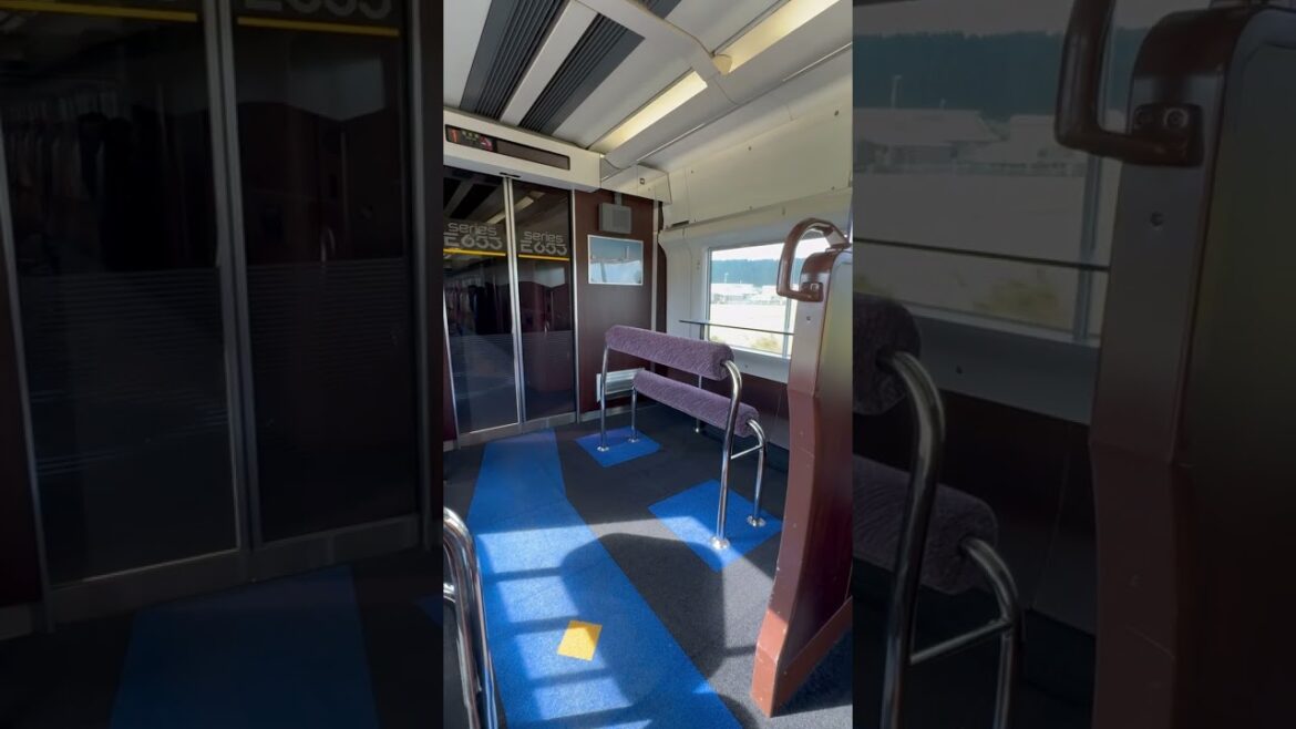 Green Car Seats on Limited Express Inaho | Niigata - Akita