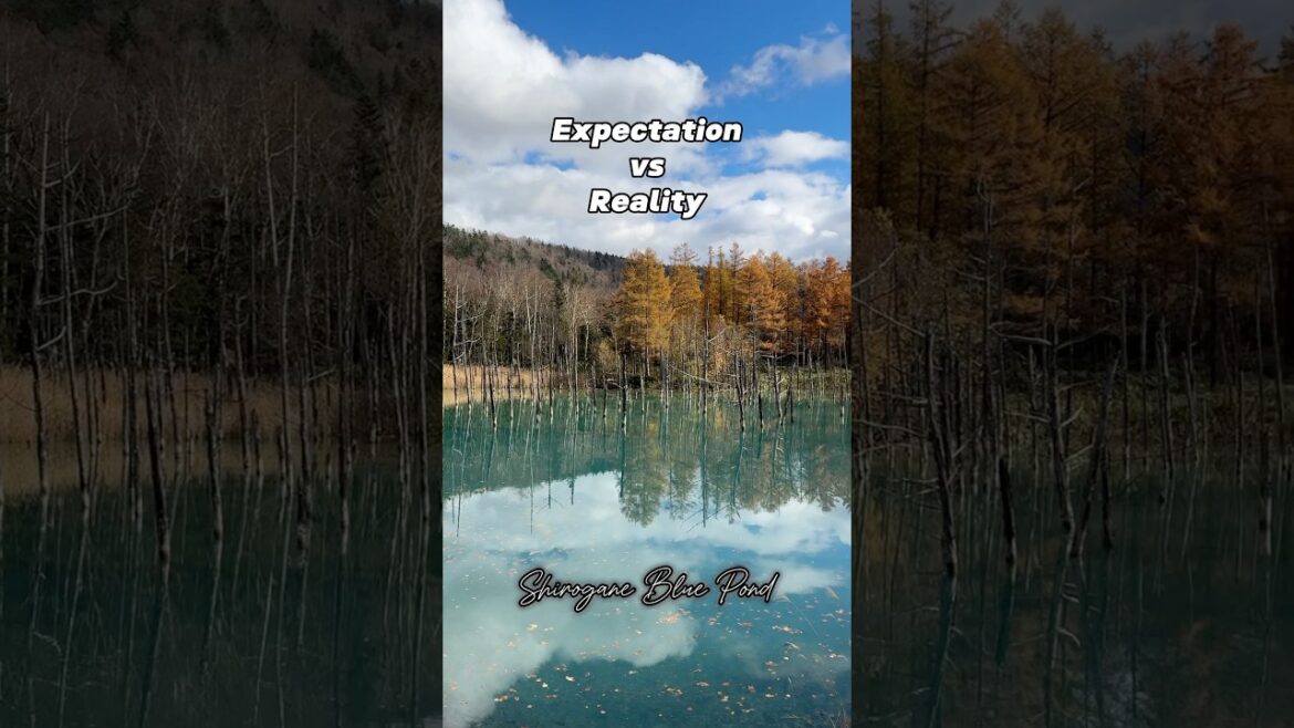 Expectation vs reality at Shirogane Blue Pond, Hokkaido
