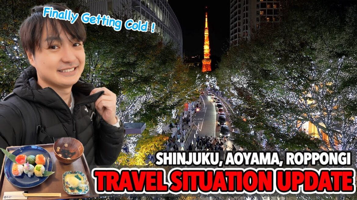 Japan Winter Travel Situation Update from Shinjuku, Roppongi and Aoyama Gaienmae Ep.533 Japan Winter Travel Situation Update from Shinjuku, Roppongi and Aoyama Gaienmae Ep.533
