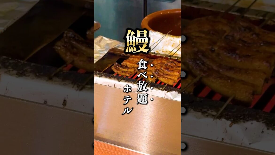 【鰻食べ放題】遊園地直結の大人子ども大満足ホテル #shorts 【鰻食べ放題】遊園地直結の大人子ども大満足ホテル #shorts