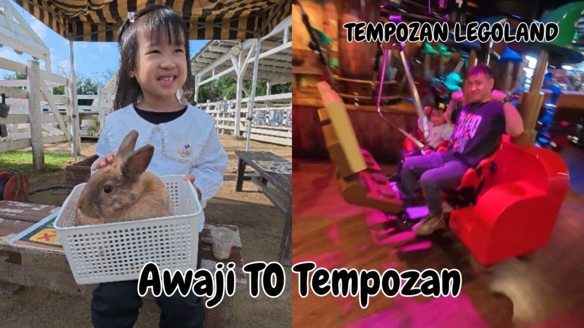 Awaji Nojima Zoo / Nojima Scuola / LEGOLAND Discovery Center Osaka /  Tenpozan Anipa