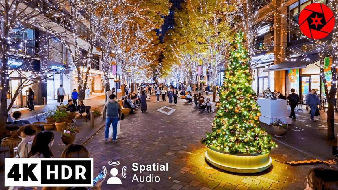 A Night Exploring Tokyo's Early Christmas Lights 2024 - 4K HDR