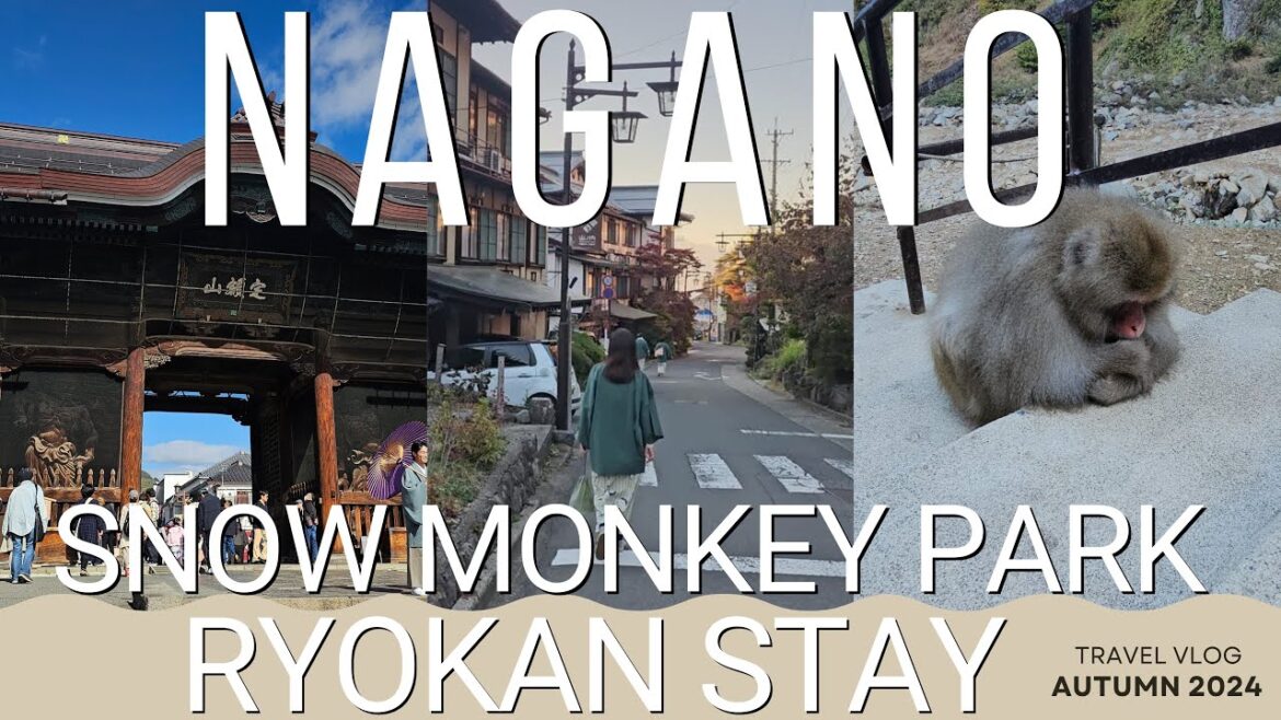 Japan Travel Vlog: Ryokan Escape in Shibu Onsen, Jigokudani Snow Monkeys & Nagano in 2 Epic Days! Japan Travel Vlog: Ryokan Escape in Shibu Onsen, Jigokudani Snow Monkeys & Nagano in 2 Epic Days!