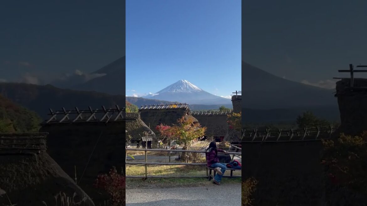 Mount Fuji View of Japan 🇧🇷in🇯🇵 2024📸🗻