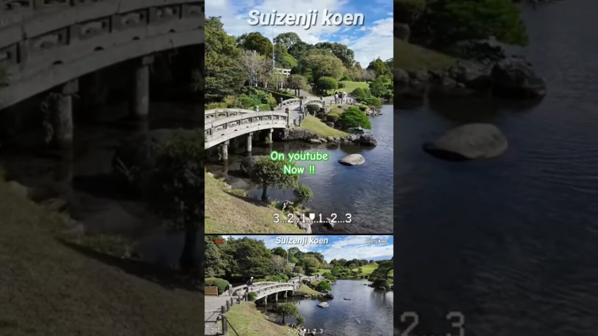 On youtube now. Please subscribe me. #kumamoto #kumamoto