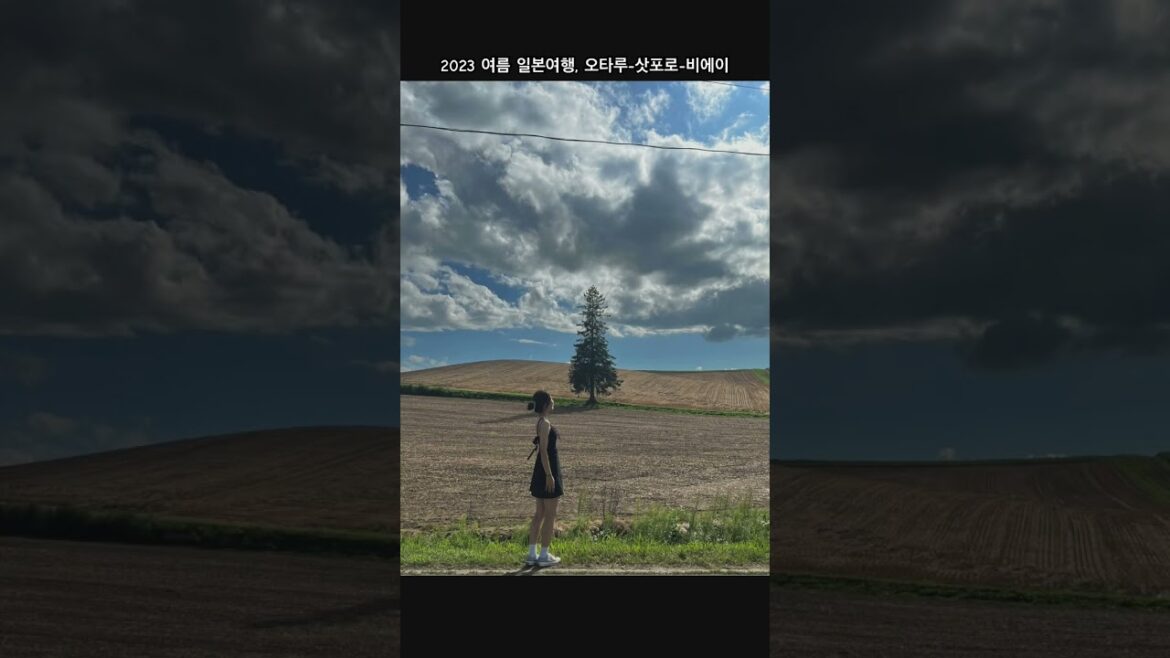 #홋카이도 #삿포로 #travel #summer