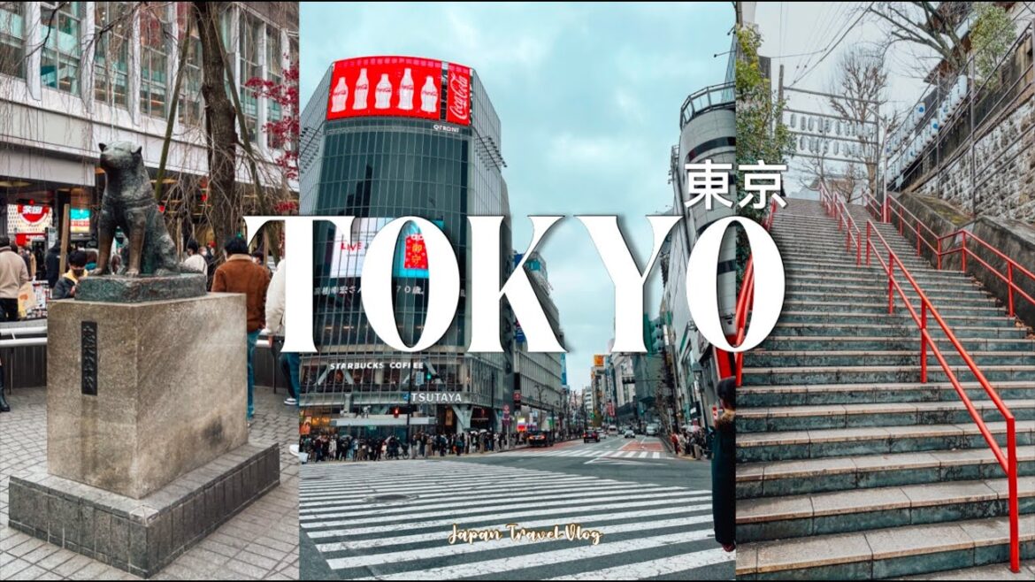 Tokyo Vlog | Your Name real life locations, harajuku, shibuya crossing, shibuya sky | Japan Travel