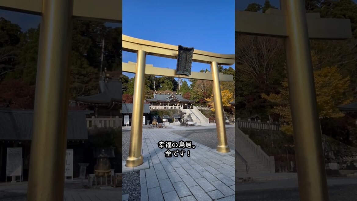 標高866m！秋葉山本宮秋葉神社 #旅行 #観光 #浜松 #神社巡り #紅葉