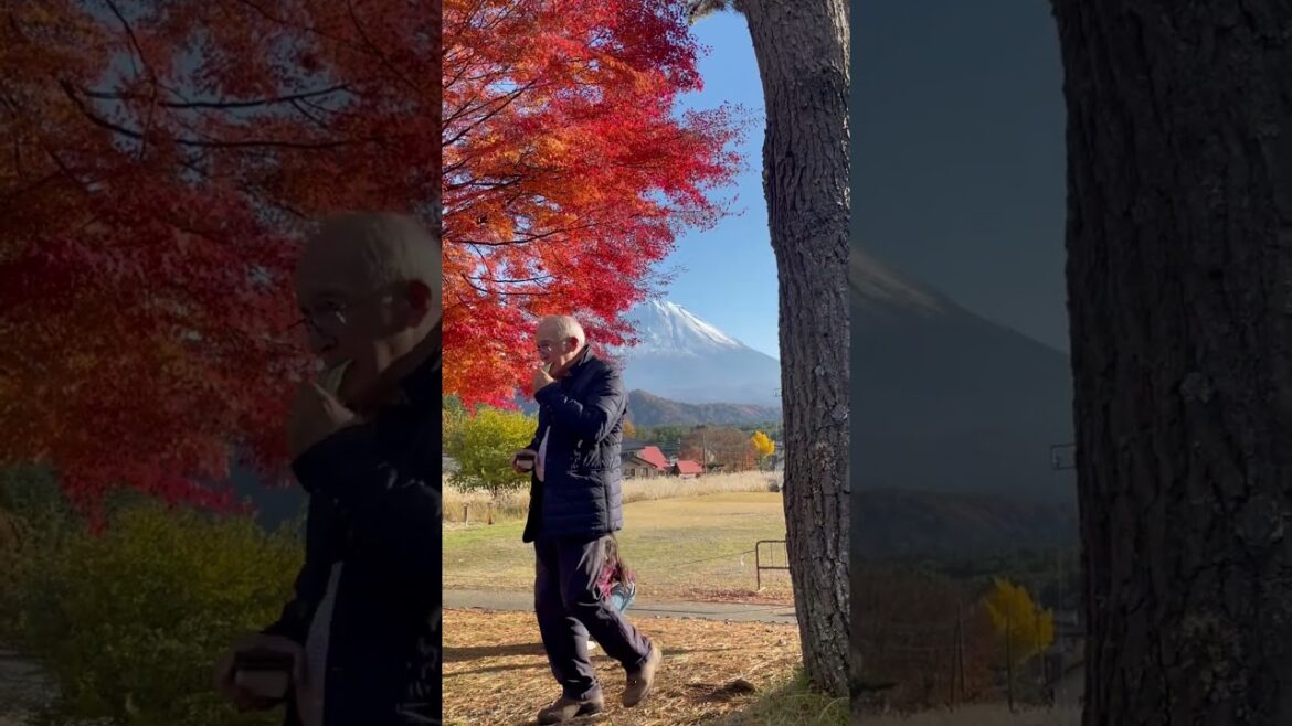 Mount Fuji View of Japan 🇧🇷in🇯🇵 2024📸🗻