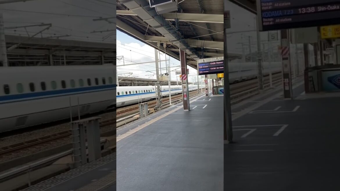 【新幹線とコーヒー・2024年11月・東海道新幹線掛川駅下りホーム】 #ご視聴ありがとうございます #shinkansen #coffee #japan #shorts #高速通過 【新幹線とコーヒー・2024年11月・東海道新幹線掛川駅下りホーム】 #ご視聴ありがとうございます #shinkansen #coffee #japan #shorts #高速通過