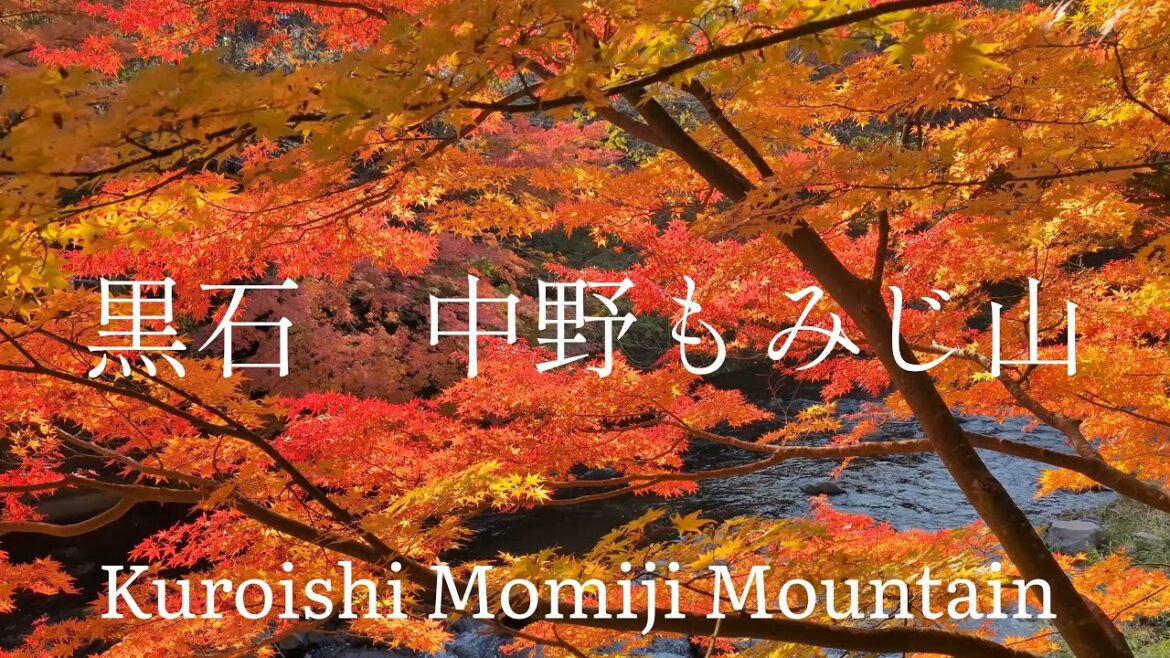 青森県観光　イザベラバードも訪問　黒石　もみじ山　Aomori Prefecture Tourism: Visit Isabella Bird Kuroishi Momijiyama Japan