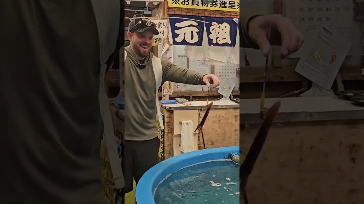 The BEST way to spend your day in Hakodate