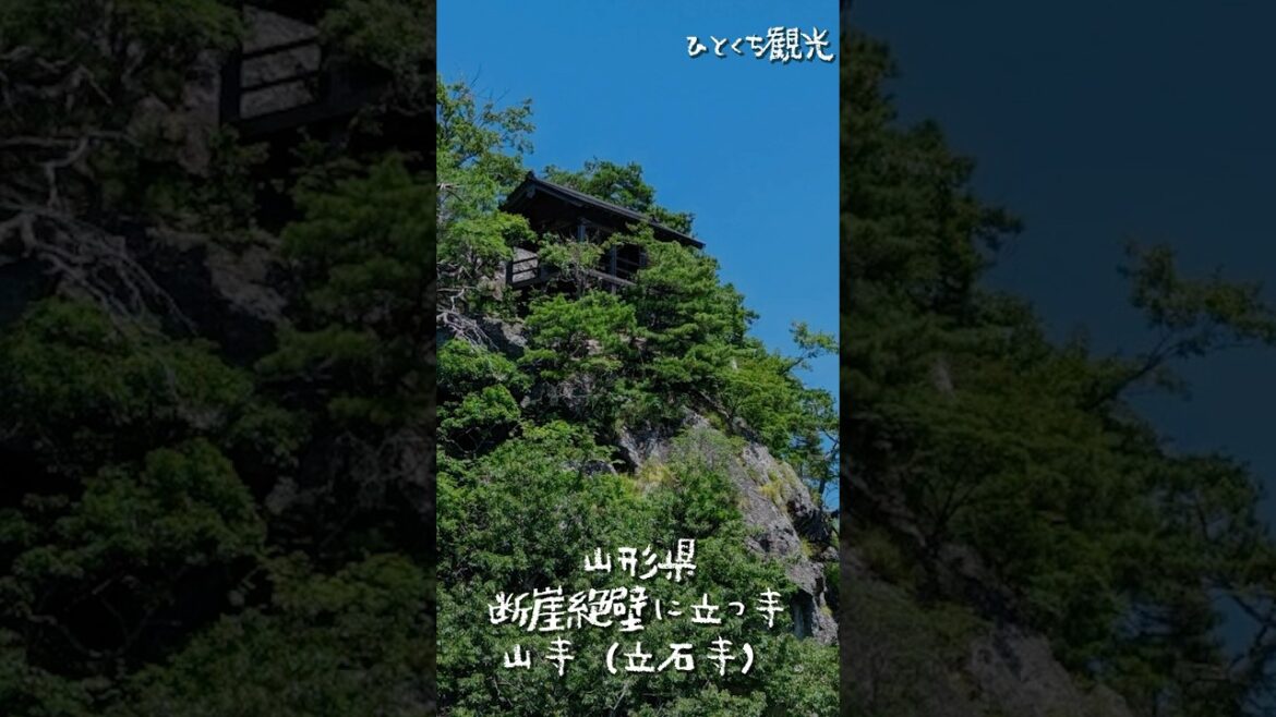 【ひとくち観光】断崖に建つお寺！山寺から見る景色が最高でした【宝珠山 立石寺】#shorts