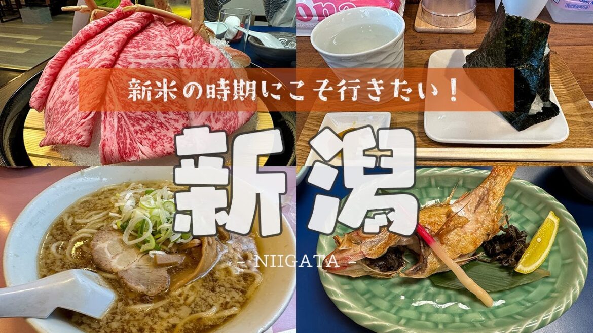 【新潟】食の宝庫で食べまくりのグルメ旅！露天風呂付きのお部屋で月岡温泉を独り占め