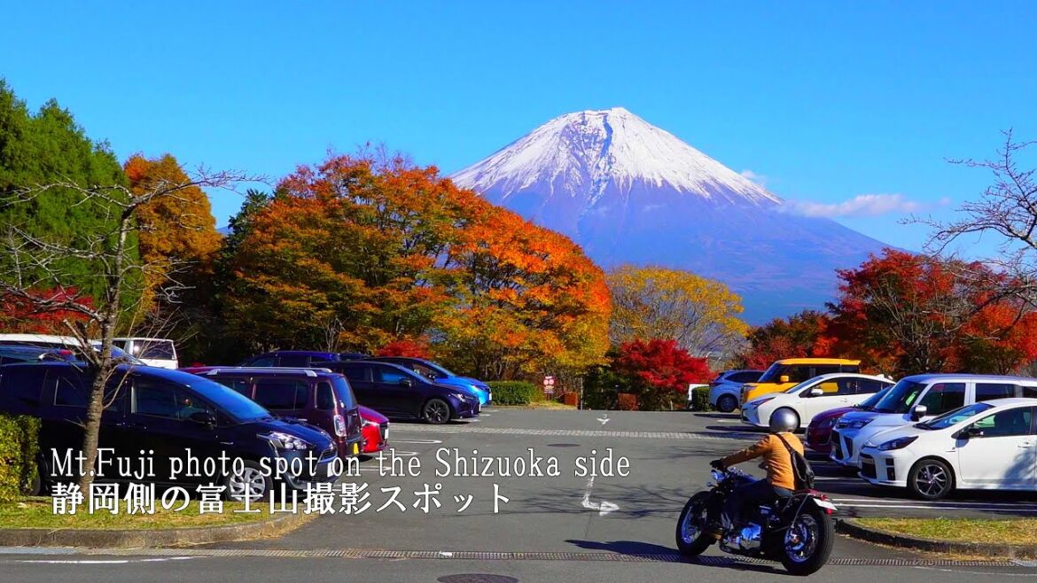 Mt. Fuji Photo Spots From Waterfalls, Shrines and Tea Fields (Shizuoka Edition)