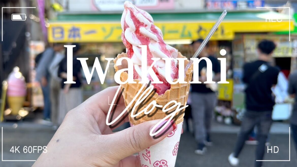 RETURNING TO IWAKUNI – JAPAN VLOG 2024 RETURNING TO IWAKUNI - JAPAN VLOG 2024