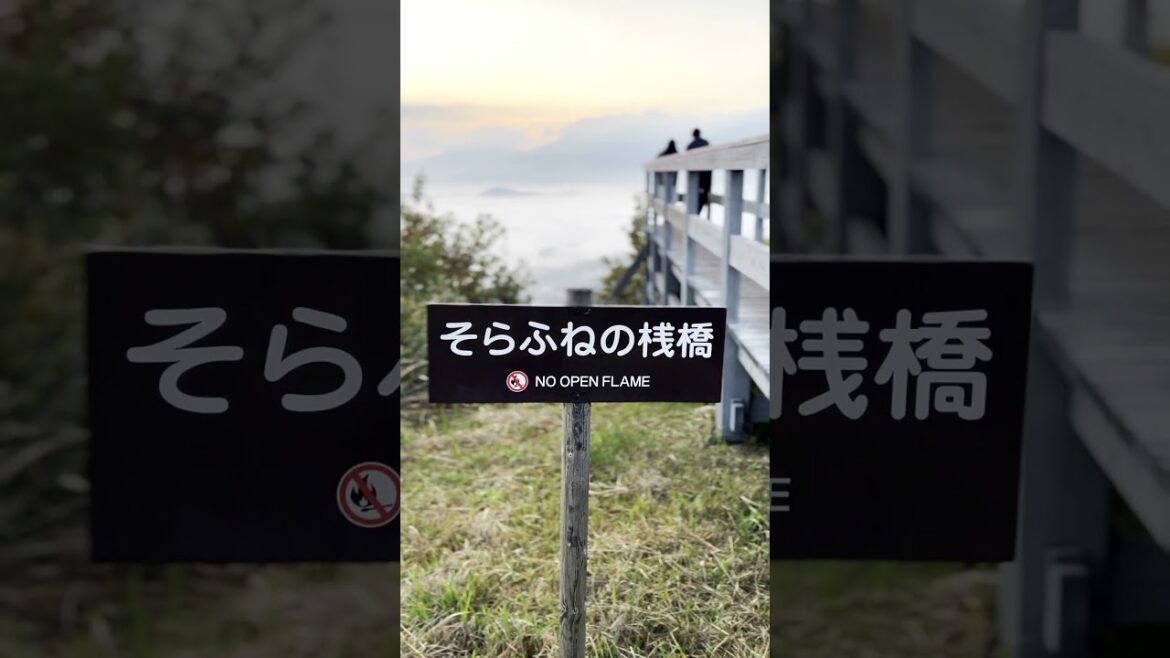 熊本の絶景スポット「そらふねの桟橋」 #shorts