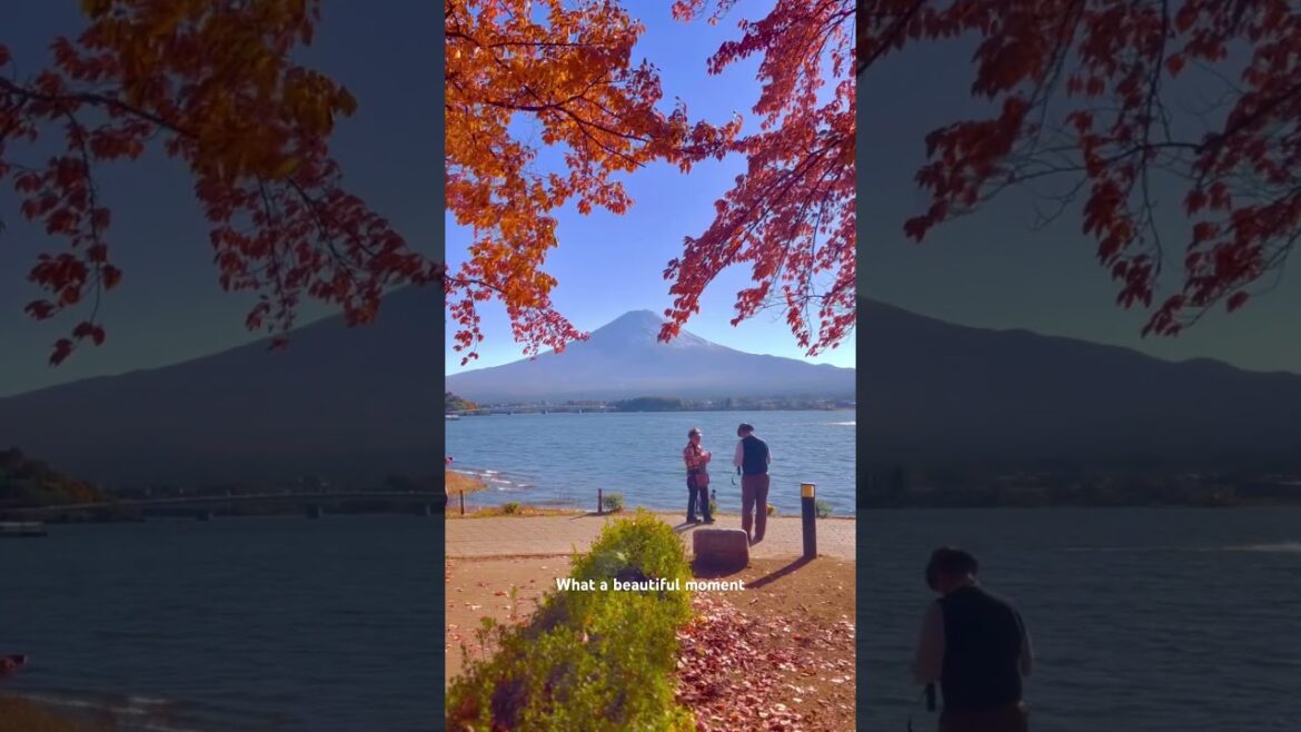 📍Fujikawaguchiko | Captured a beautiful moment in one of the most beautiful place #mtfuji #japan