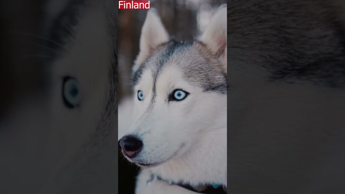 Best Tourist Places For Winter 🎄✨| Travel guide |