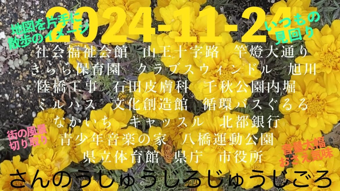 2024-11-24さんのうじゅうじろじゅうじごろ