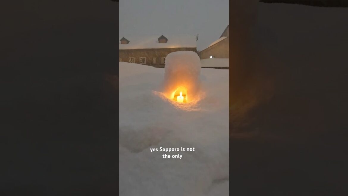 Otaru Snow Festival over Sapporo Snow Festival any day #travel #japantravel #winter #nature #shorts