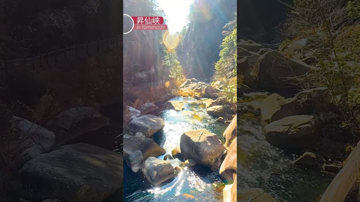 [山梨] 巨大な水晶！秋の昇仙峡🍁甲府観光！続きは本編で💛  #昇仙峡 #仙娥滝 #覚円峰